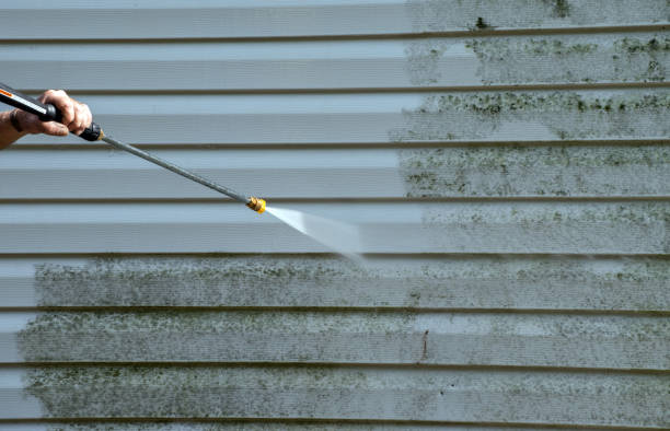 Best Local Pressure Washing Services  in Mount Oliver, PA