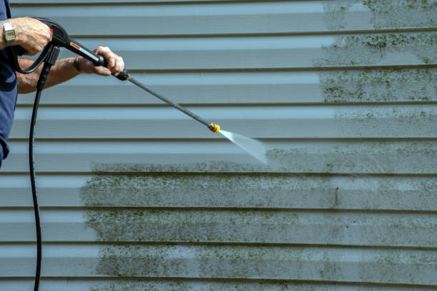 Best Pressure Washing Near Me  in Mount Oliver, PA